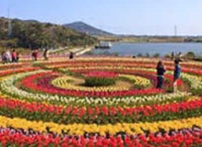 Kashmir Sojourn Tour