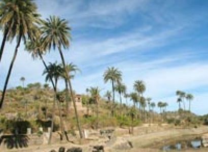 Blissful Rajasthan Tour