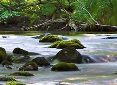 Monsoon Special - Wonders of Garhwal