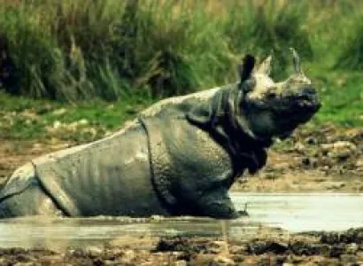 Guwahati(2n), Kaziranga(1n), Sivasagar(1n), Majuli(1n) Package