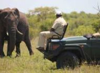 Kanha National Park Tour Package