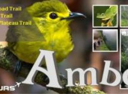 Amboli Mansoon Tour