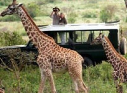 Masai Mara group joining on a budget tented camp Tour