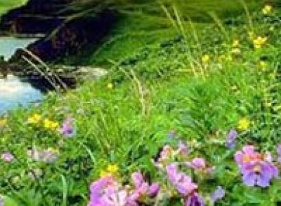 Jammu Bhaderwah Tour Package