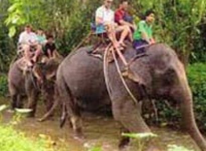 Simply Thailand Tour