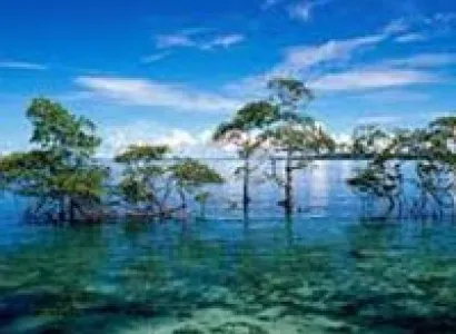 Joyful Andaman Tour