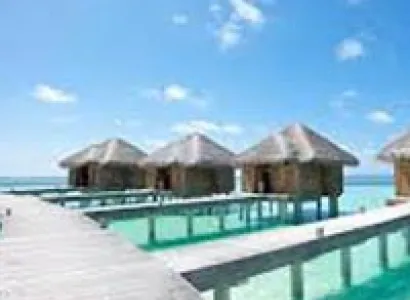 Mezmermissing at Maldvies Package