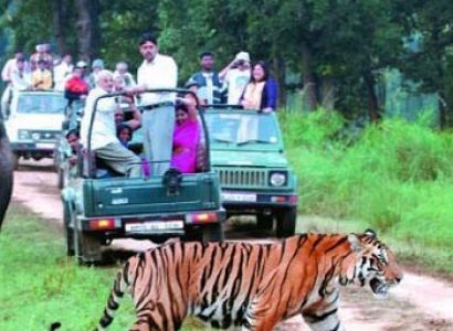 Corbett Nainital Tour