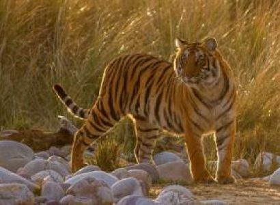 15 Days Kumaon Package