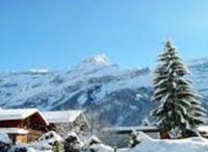 Exotic Shimla Manali Tour