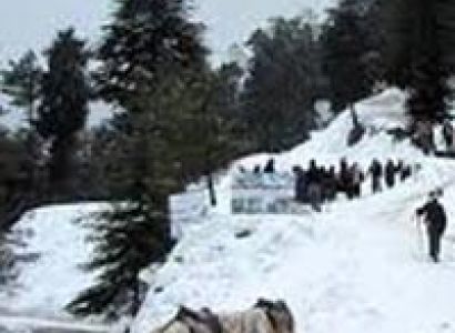 Chail Kasauli Holiday Tour