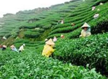 Mesmerizing Darjeeling Gangtok Tour