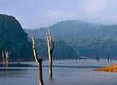 3 Days Periyar Tour with Tree house
