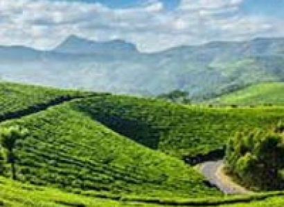 Essence of Kerala Tour