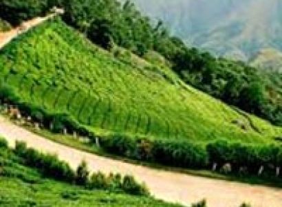 4 Days Kerala Honeymoon Package