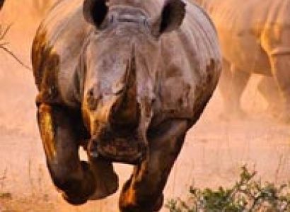 Assam - Meghalaya Package