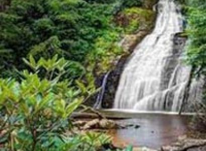 Wayanad & Kabini from Bangalore Tour