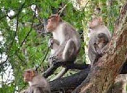 Adventurous Package - 56