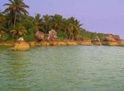 Cochin - Munnar - Allappey Tour