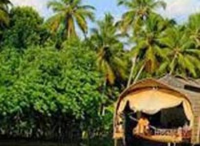 Kerala Hillstation And Houseboat Package
