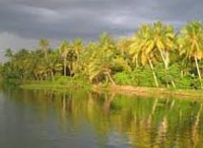 Munnar Honeymoon Package