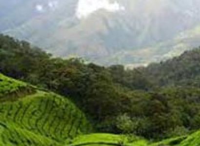 Tiger's Foot Prints Tour