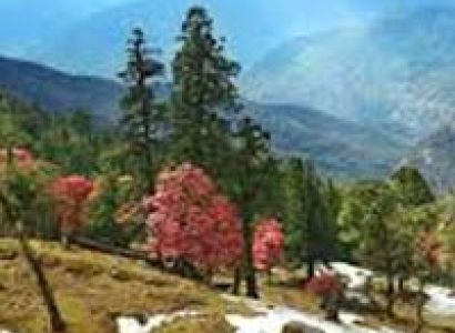 Kumaon Hills Tour