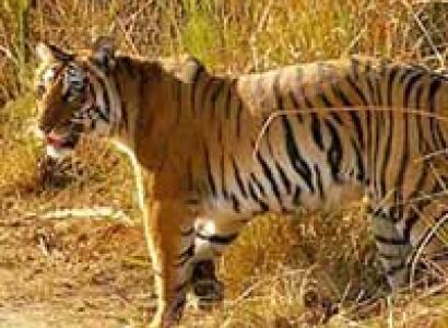 Sensational Uttarakhand Tour