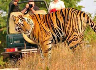 Haridwar Rishikesh Corbett Ranikhet Nainital Tour 5 Nights /6 Days- 6 Days