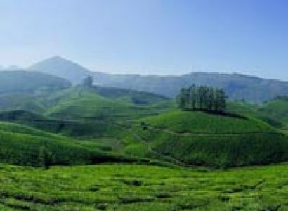 3 Days Munnar & Thekkady Budget Holiday
