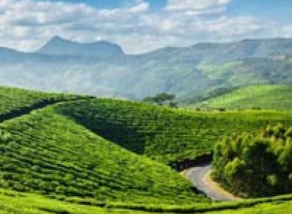 Kerala trip - 2 nights / 3 Days ( 2 Adults ) Tour