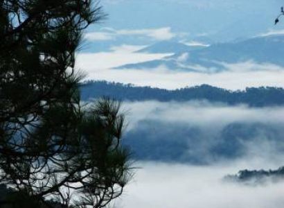 Kasauli Tour Package