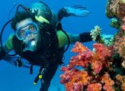 Scuba Diving with Watersports in Malvan