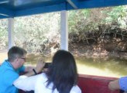 Crocodile Sighting Trip Tour