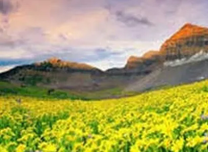 Valley Of Flowers Trek (July-Aug) Tour