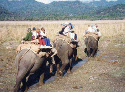 Corbett Tour With Nainital