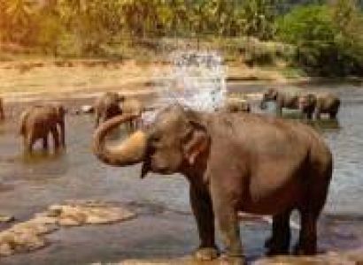 Holidays in Sri Lanka