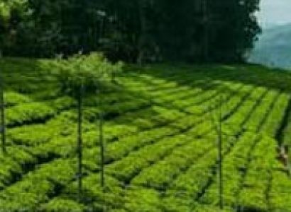 Coonoor with Ooty Tour