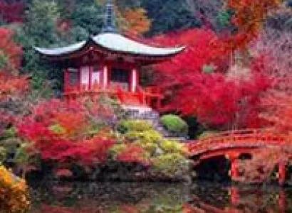 Beautiful Japan Tour