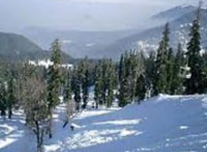 Srinagar 6 Night 7 Days Package