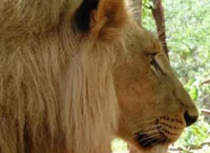 Cbobe Day Trip 02 Tour