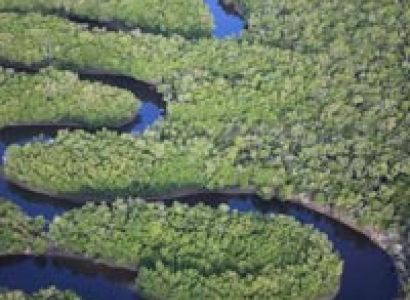 Transfers to the Falls Tour