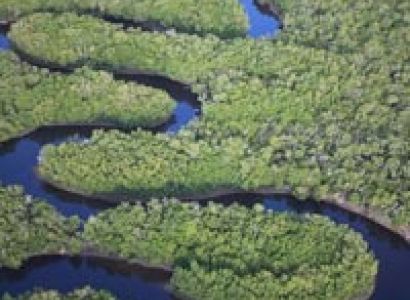 Livingstone Island Tour