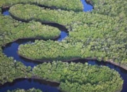 Livingstone Island Morning