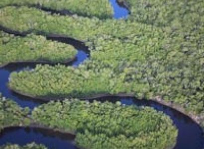 Livingstone Island Afternoon Tour