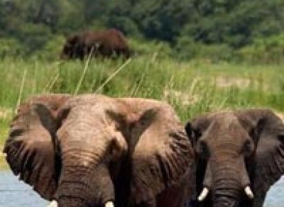 Helicopter Flight Tour