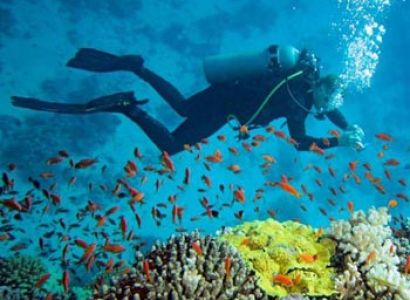 Amazing Andaman Tour