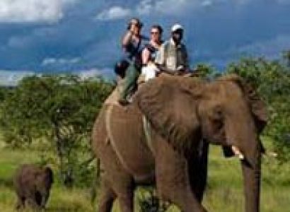 Wildlife Elephant Back Safari Tour
