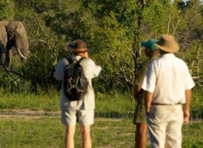 Walking Safaris Tour