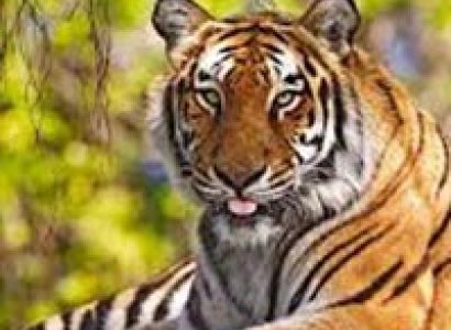 Sundarbans 2N 3D Tour